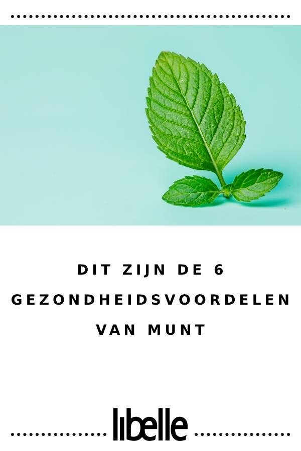 Dit Zijn De Gezondheidsvoordelen Van Munt Libelle