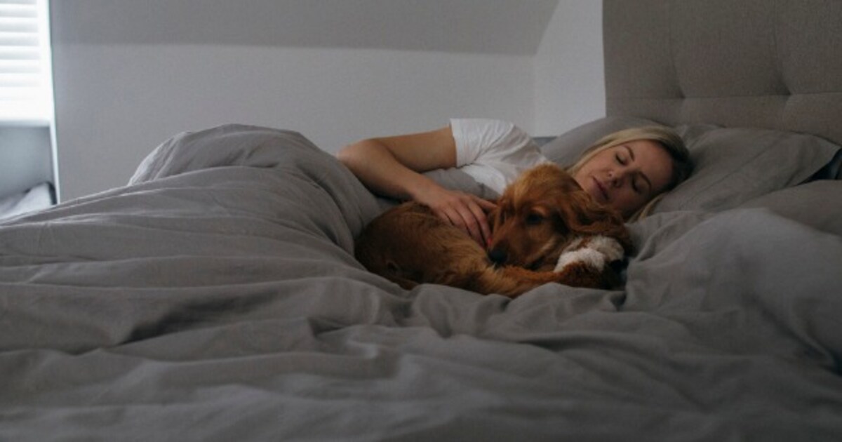 Gezellig of onhygiënisch? Zóveel mensen laten hun hond bij hen in bed slapen Libelle