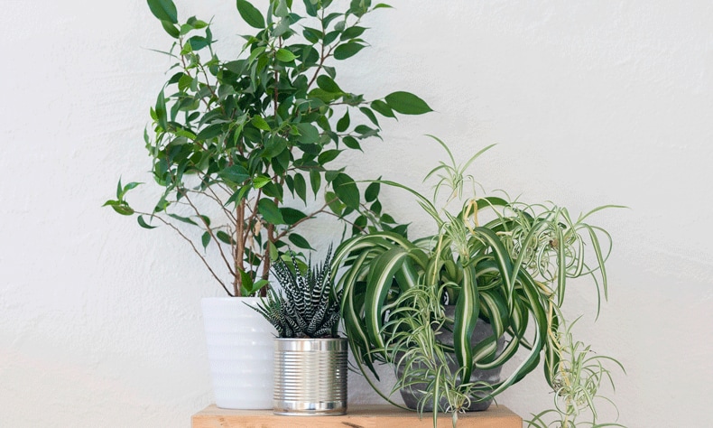 ferm living - tablett fr plant box Marble Tray