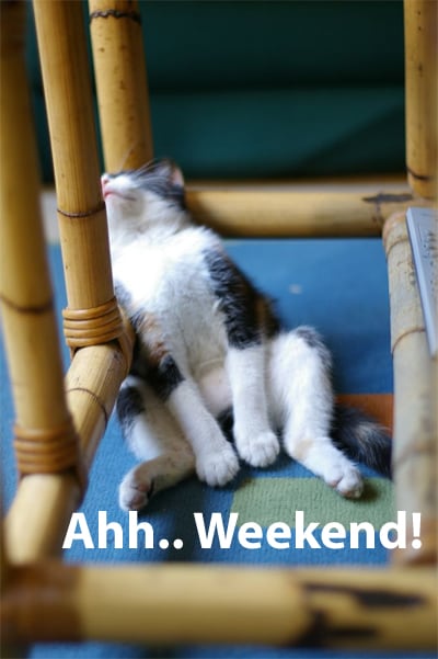 Leuke weekend plaatjes! - Libelle.nl