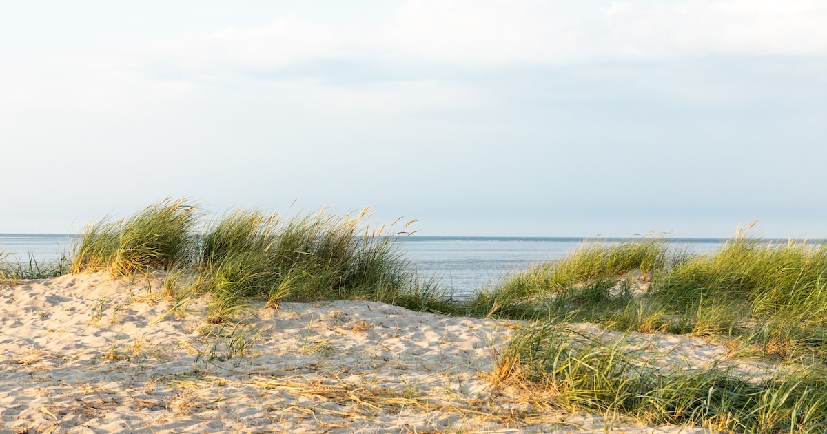5x de fijnste wandelingen voor na de paasbrunch