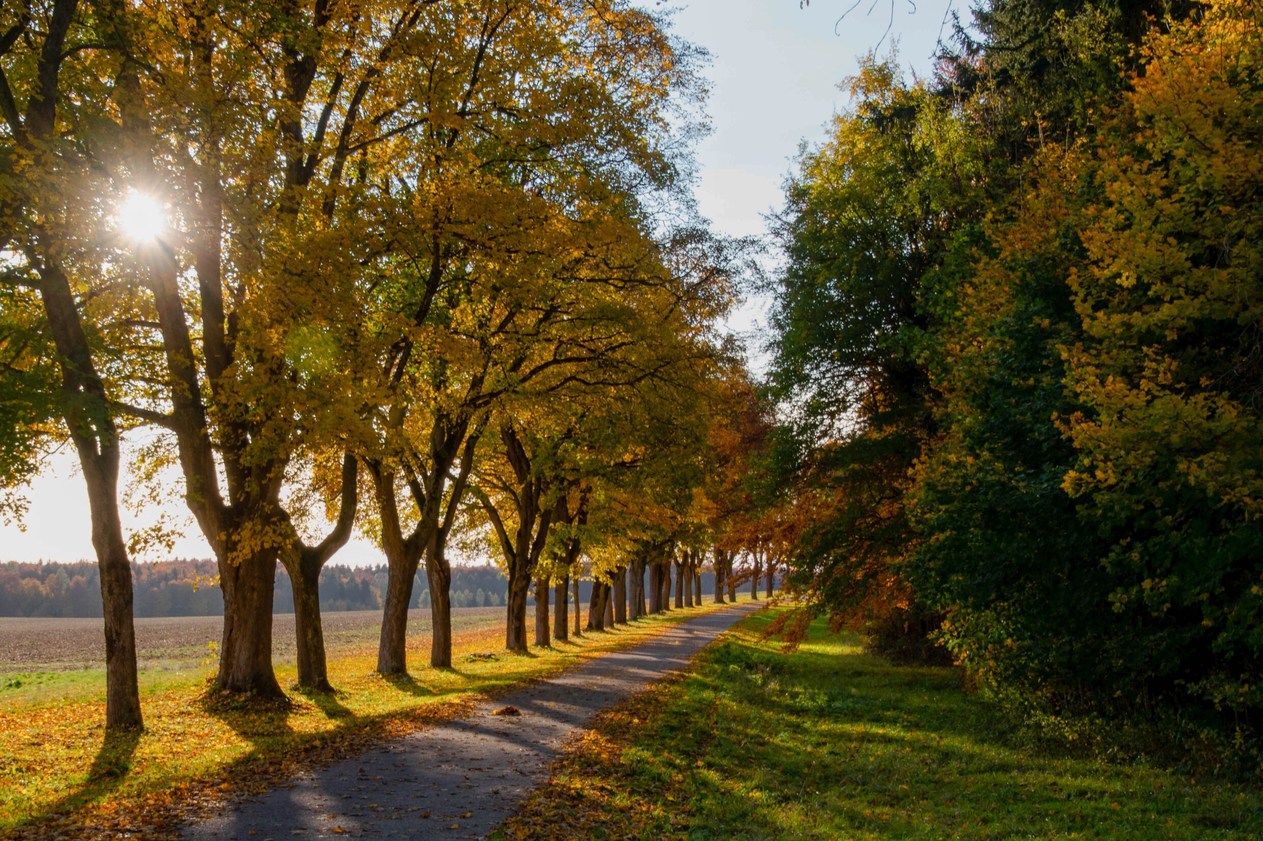 Krijgen We Tóch Een Lekkere Nazomer? Dít Kun Je De Komende Dagen ...