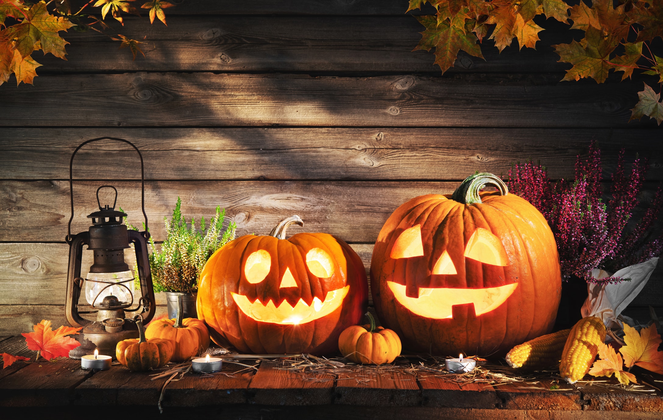 Zo maak je in 7 stappen je eigen Halloween-pompoen | Libelle