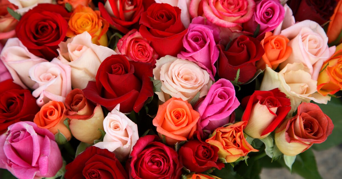 Rood, roze of oranje wat betekent