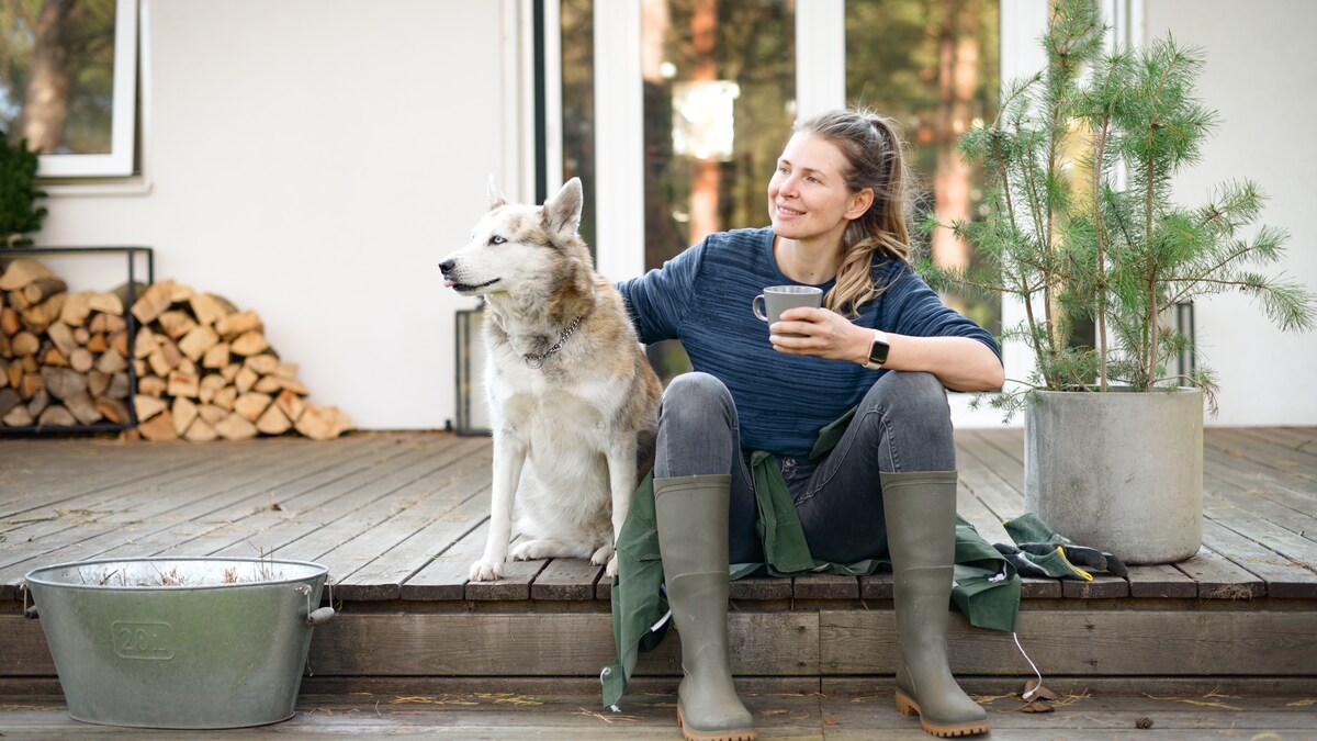 libelle groene aanslag verwijderen