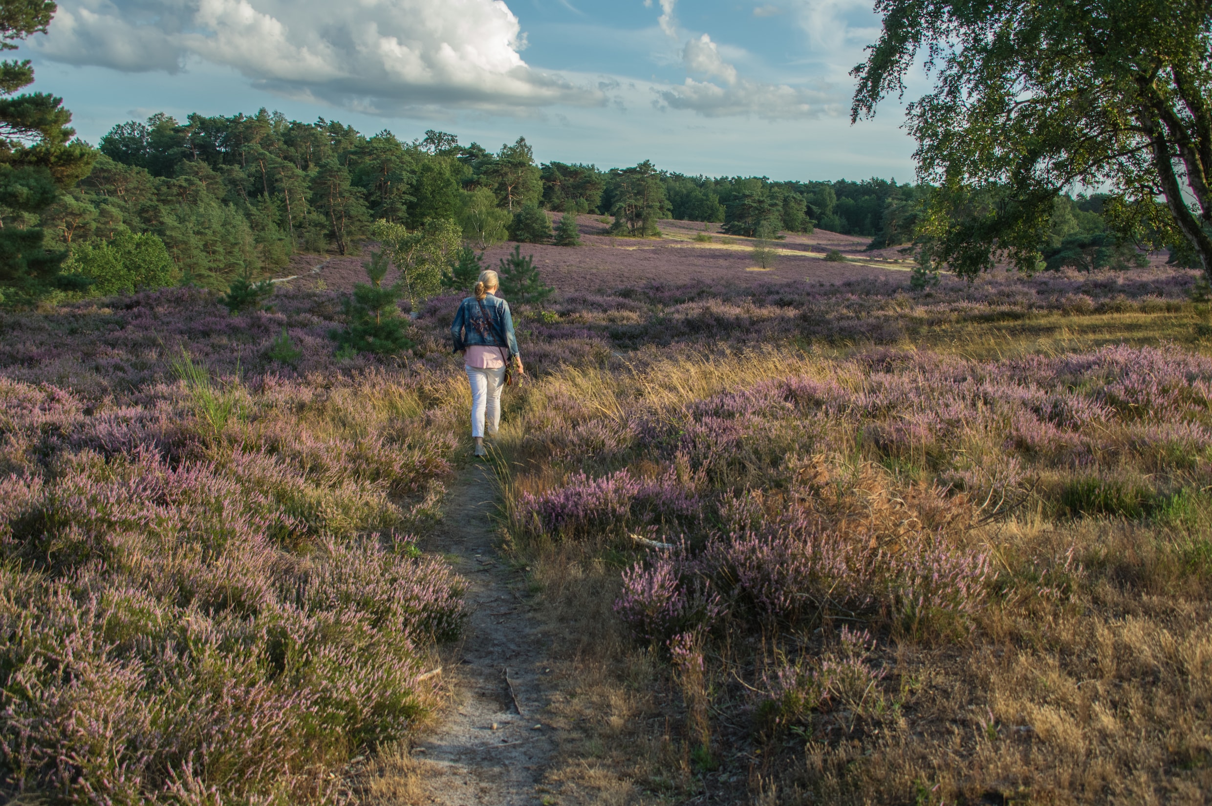 Dit is het mooiste wandelpad van de Benelux: 
