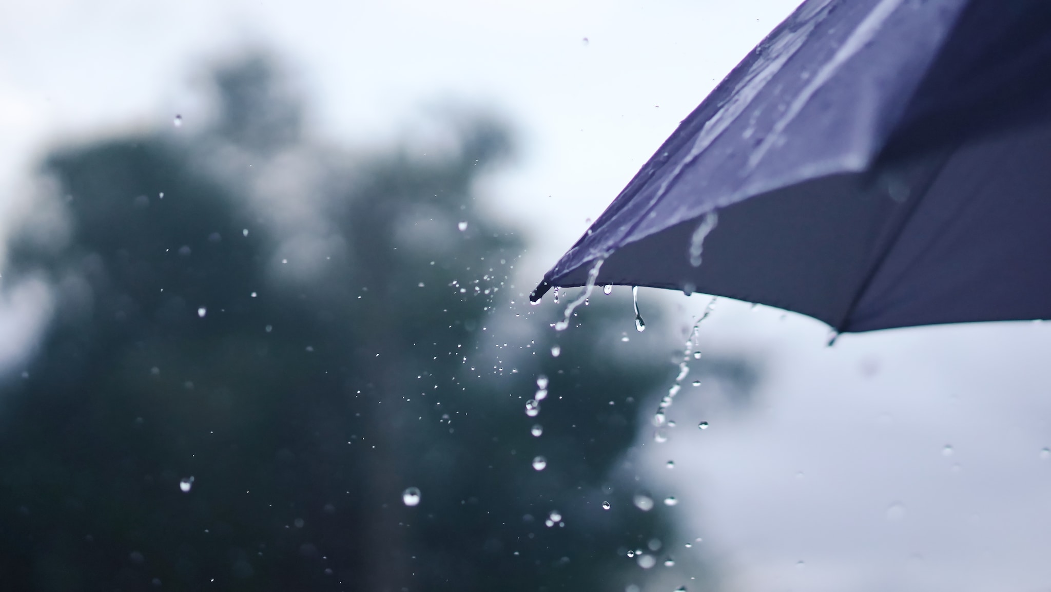 Storm op komst? Dít zijn de beste (en de voordeligste) stormparaplu’s