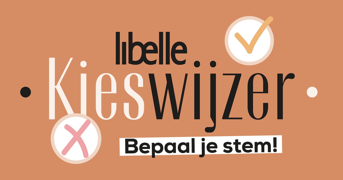 Wat Moet Je 22 November Stemmen? Doe Onze Stemwijzer | Libelle