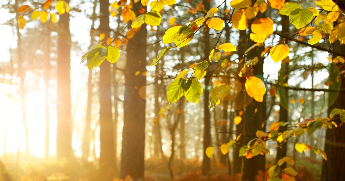 Wat doet het weer dit weekend, komt er nog zon? | Libelle