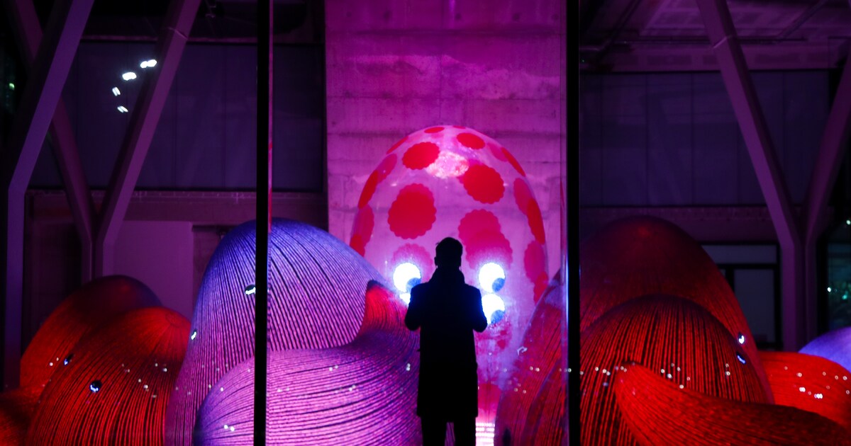 Dit zijn de 7 leukste lichtjeswandelingen tijdens kerst