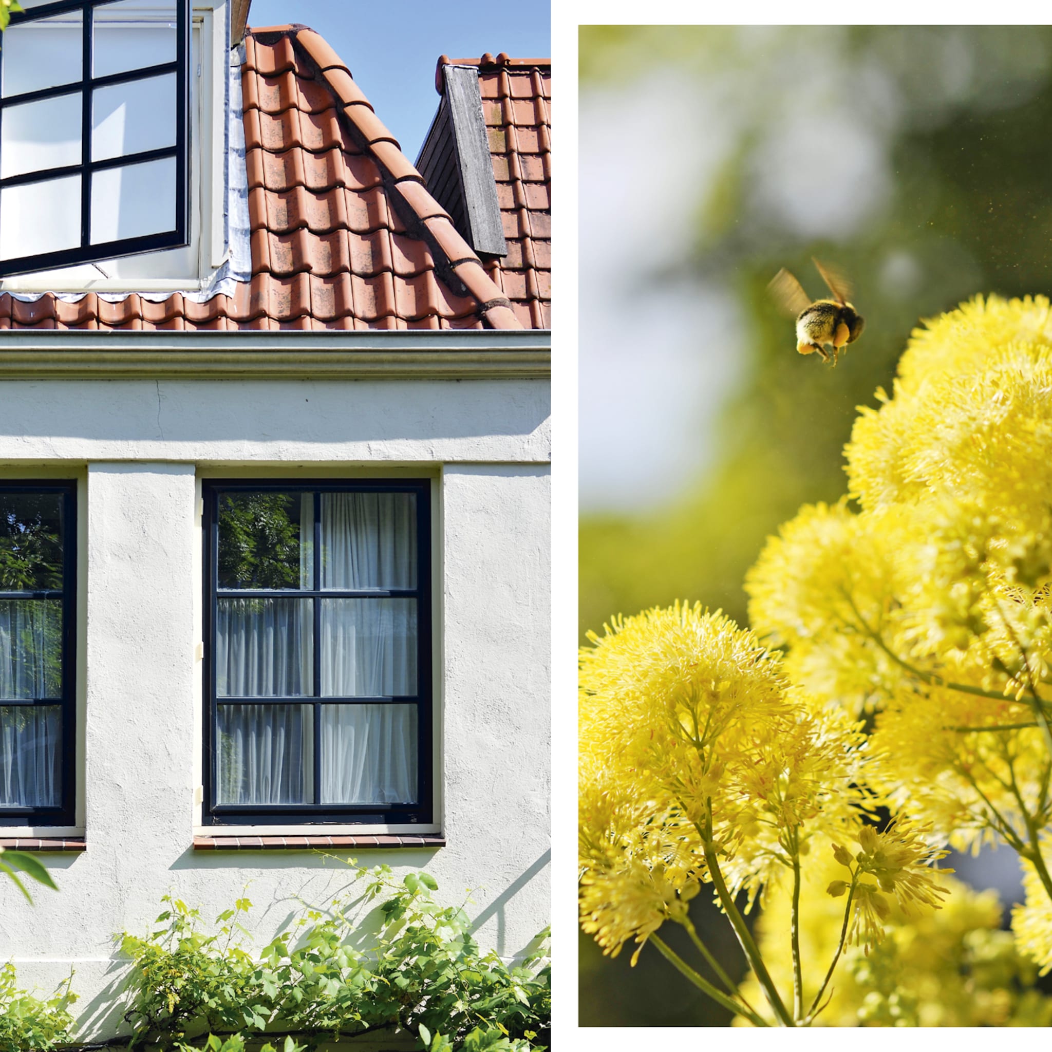 Tuinieren - pagina 3 - Libelle.nl