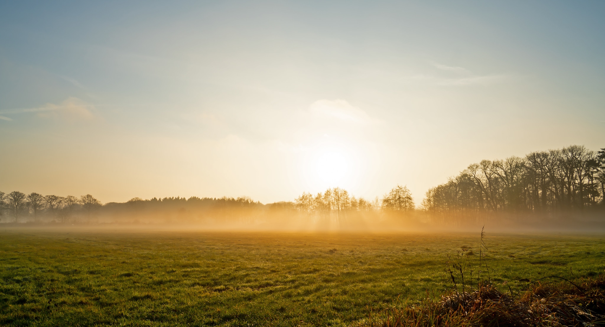Krijgen we vorst en sneeuw? Dit is de weersverwachting voor januari