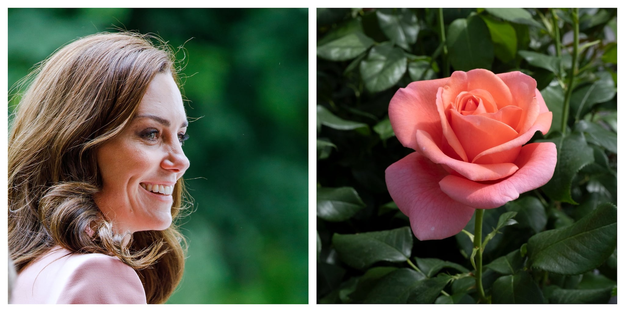 Prinses Catherine heeft nu haar eigen roos (en het is een beauty)