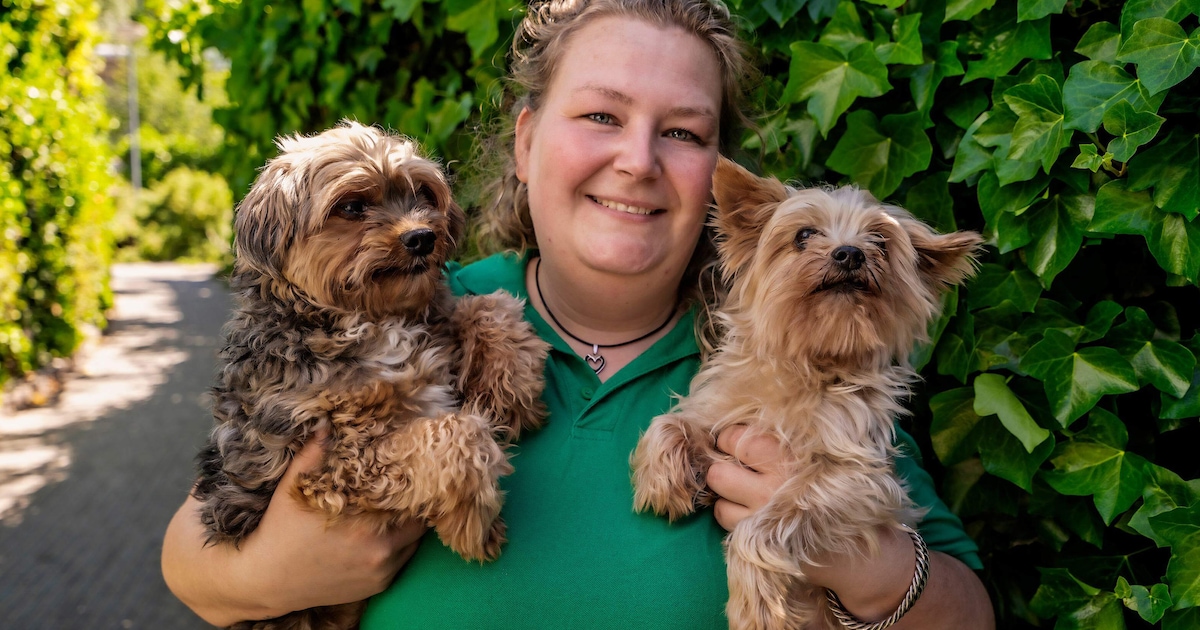Hondenverzorger Esther bereidt asieldieren voor op oud en nieuw: “In elke kennel klinkt muziek”