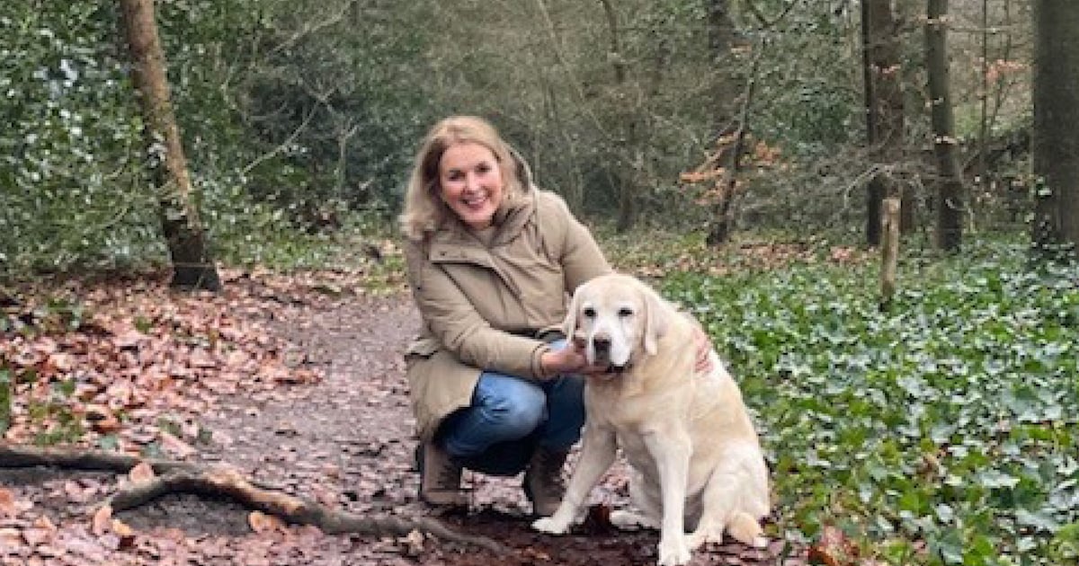 Ilse (65) en haar hond geweigerd in het Ulvenhoutse bos vanwege hondenpoep: “veel te hard gestraft”