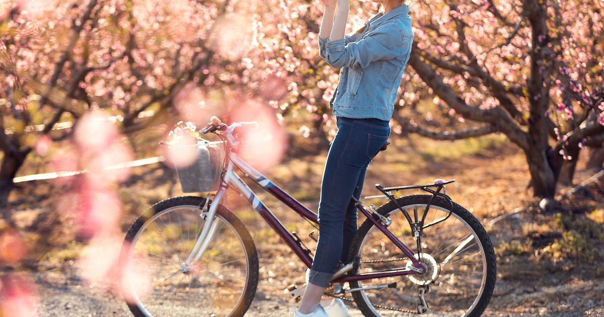 De 5 mooiste bloesemroutes op de fiets: van bloemenzeeën tot weelderige kasteeltuinen
