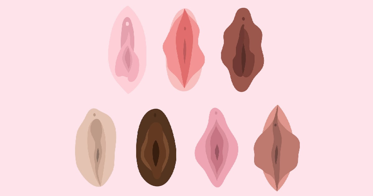 We hoeven ons toch nergens voor te schamen? De term ‘vulvalippen’ krijgt een plekje in de Dikke Van 