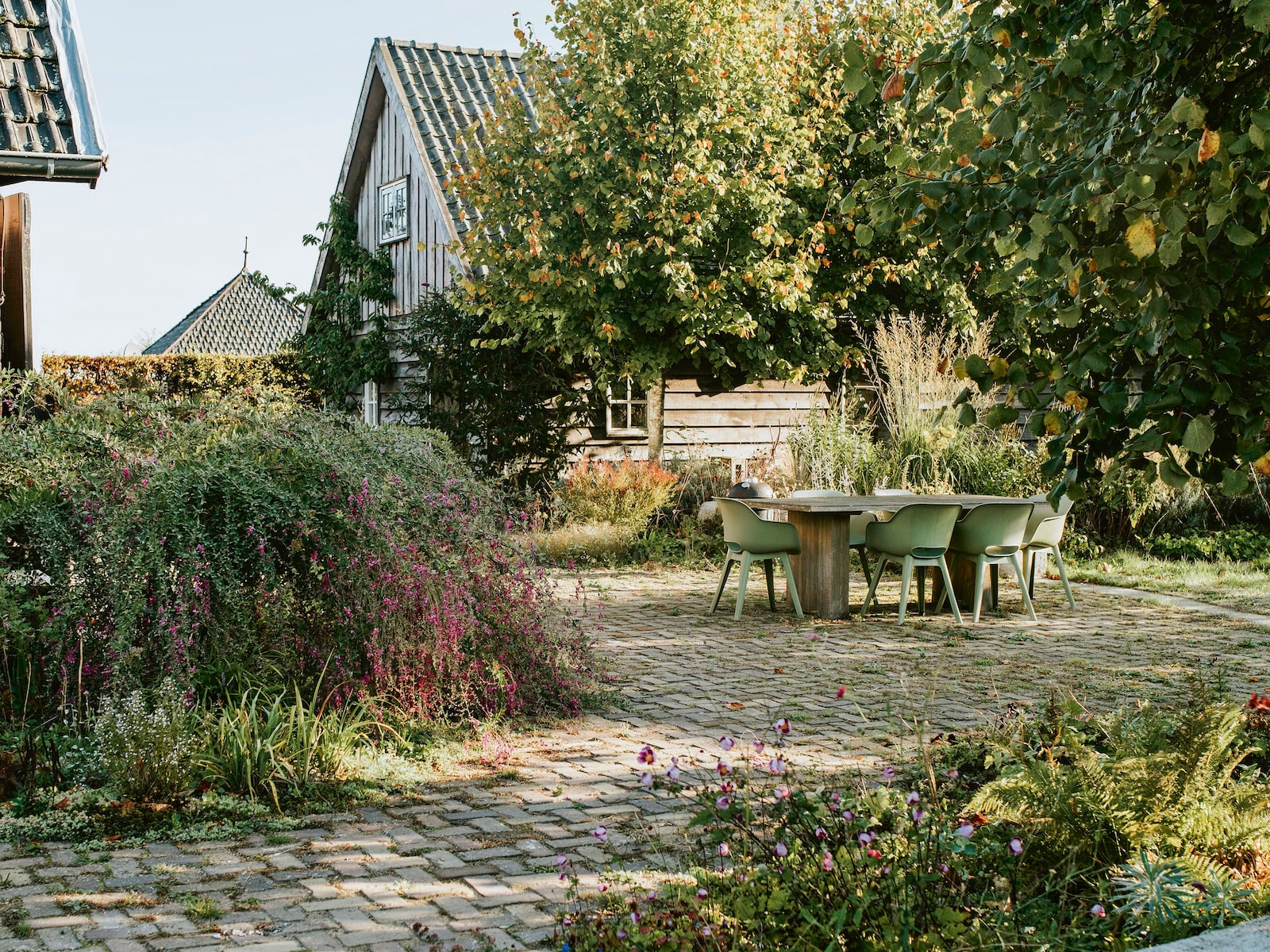 Eva en Jean veranderden een tuin vol beton in 11 jaar tijd in een weelderige, wilde oase