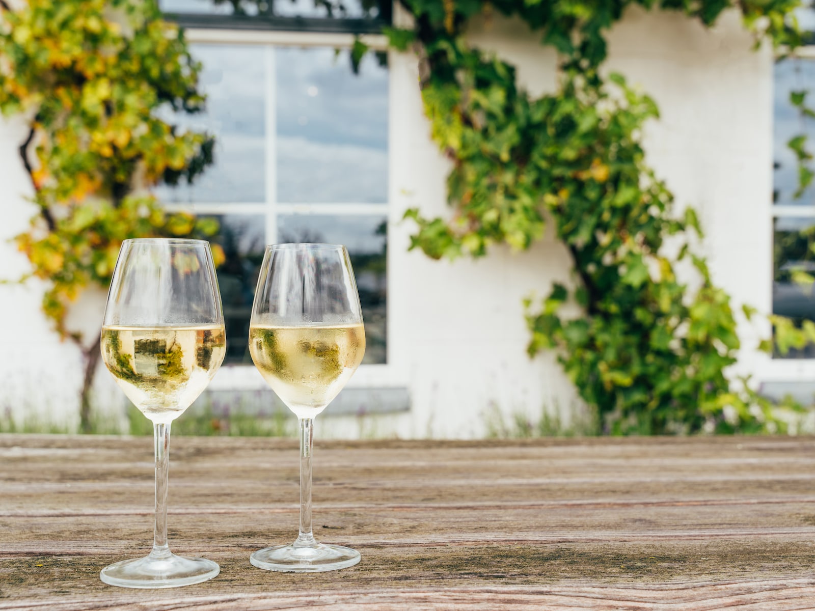 Libelle tipt: 3 Franse witte wijnen voor dit seizoen