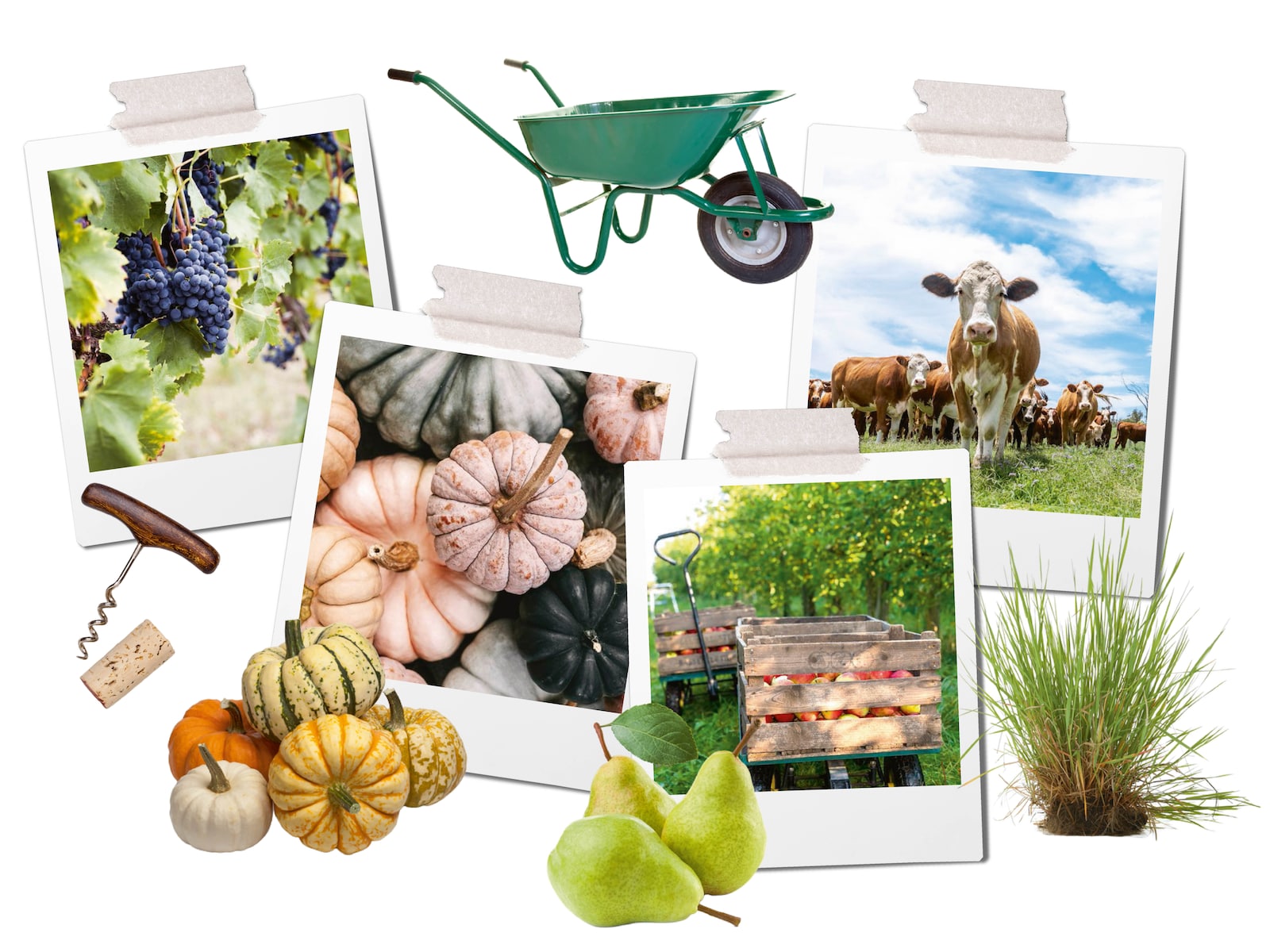 Herfstvakantie! Hét moment voor fijne streekmarkten (wij verzamelden onze favorieten!)