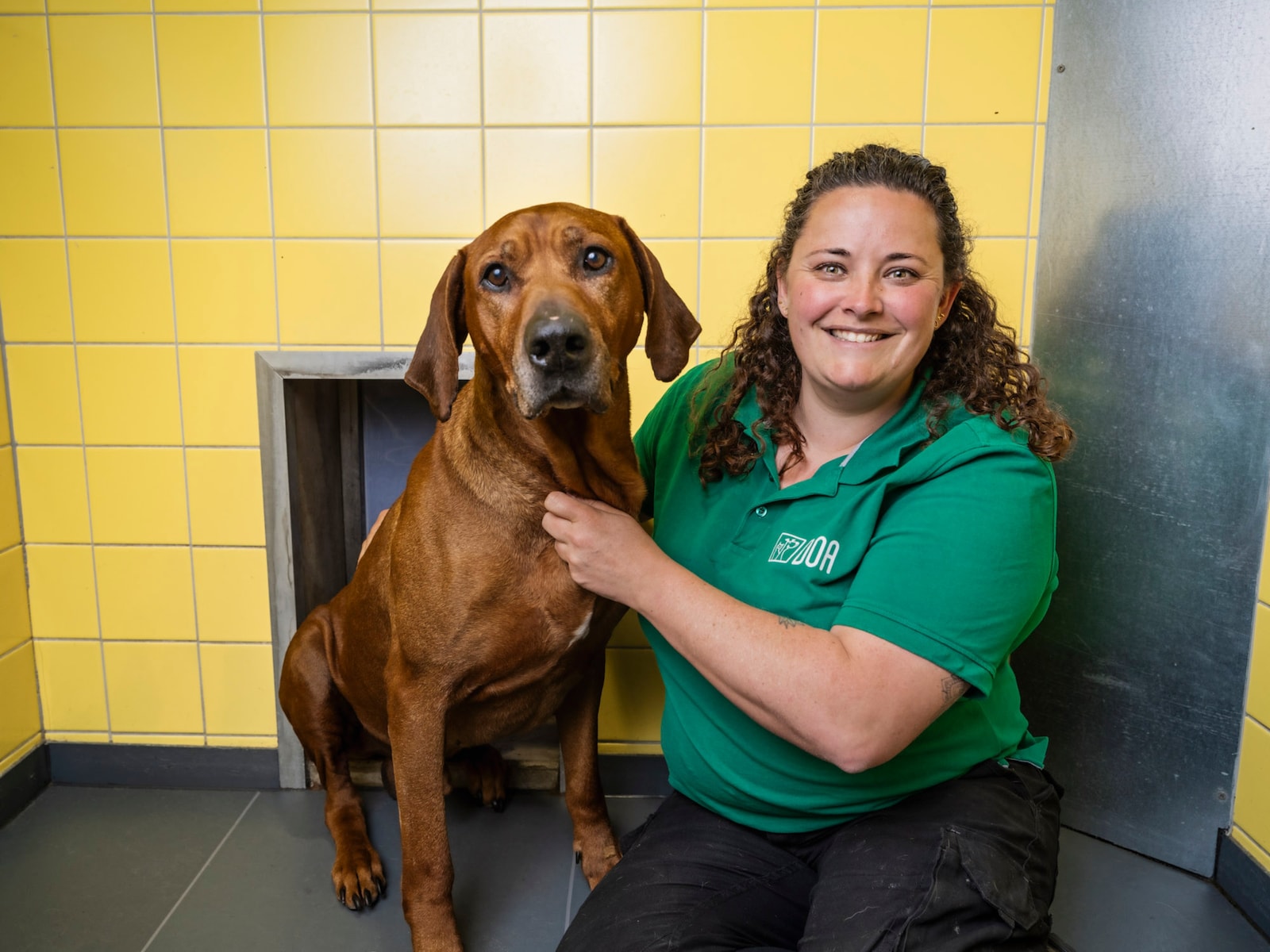 Annelies (40) werkt al 18 jaar in het grootste dierenasiel van Nederland: ‘Wat dieren je echt leren, is vergeven’