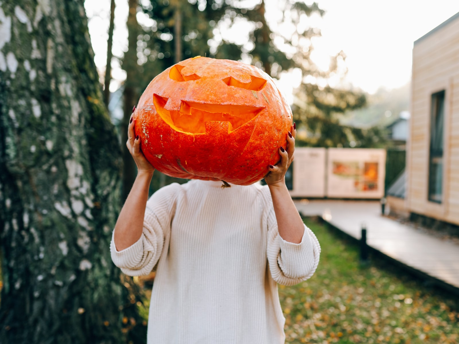 Halloween: dít is alles wat je wil weten (die pompoen is niet wat je denkt!)
